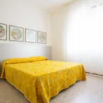 Big And Luminous Flat In Jesolo
